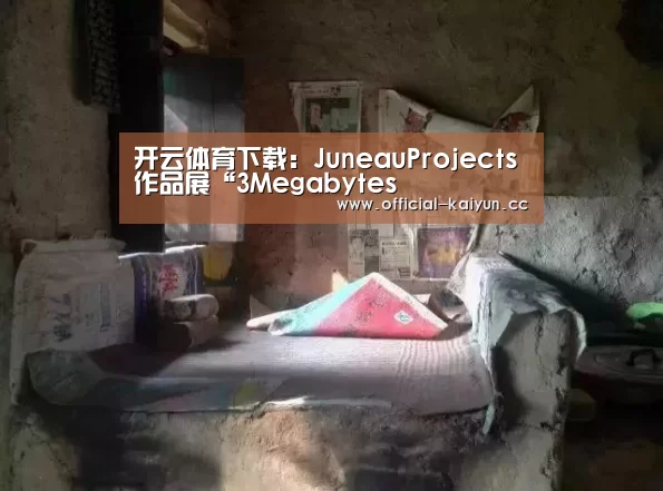 开云体育下载:JuneauProjects作品展“3Megabytes(图2) 开云体育